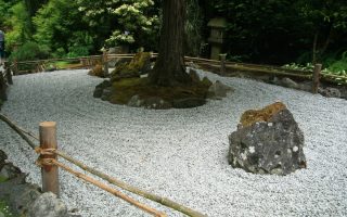 jardin japonais